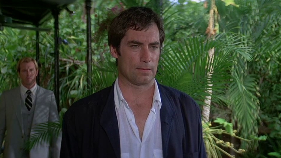 Licence To Kill (1989)